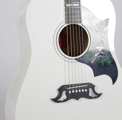 His Grandmother Guitar